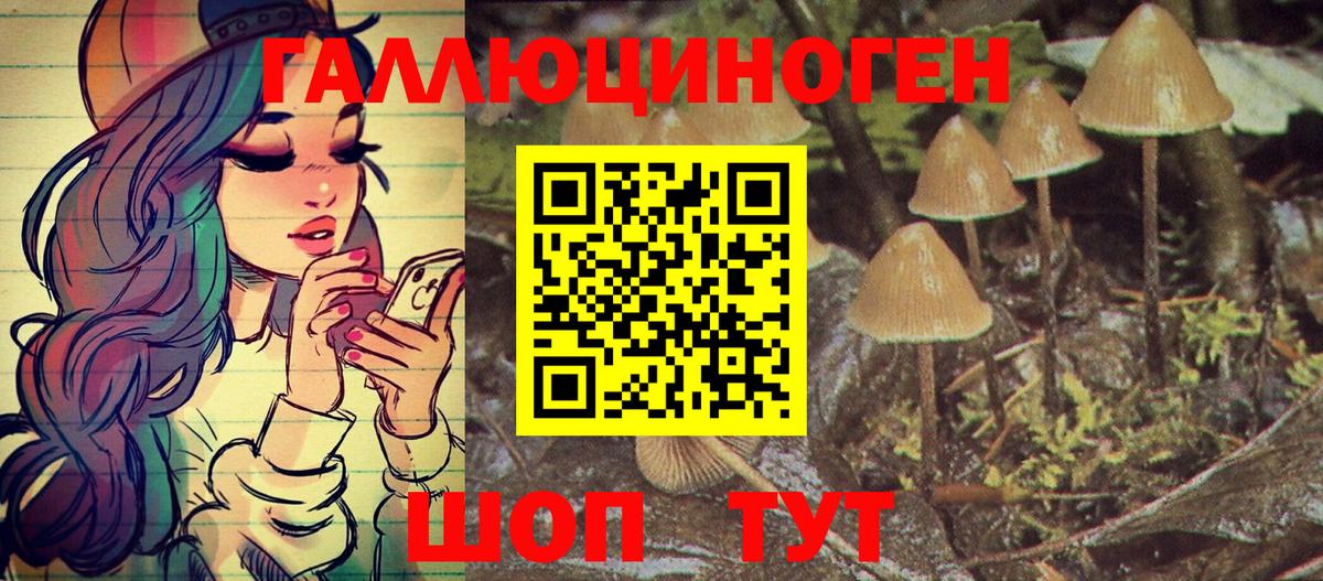 Вышний Волочёк  как найти   Вход с VPN  Псилоцибиновые грибы мухоморы 